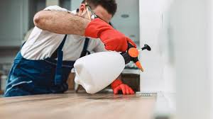 Real Estate Pest Inspections in Cassville, MO